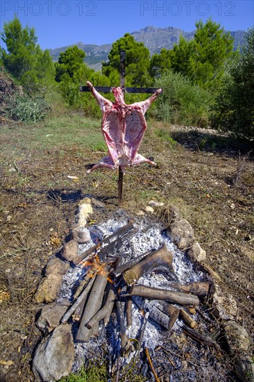 Whole lamb asado