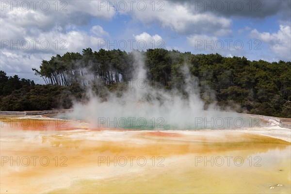 Geothermal area