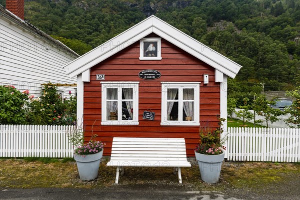 Historic houses in Laerdal