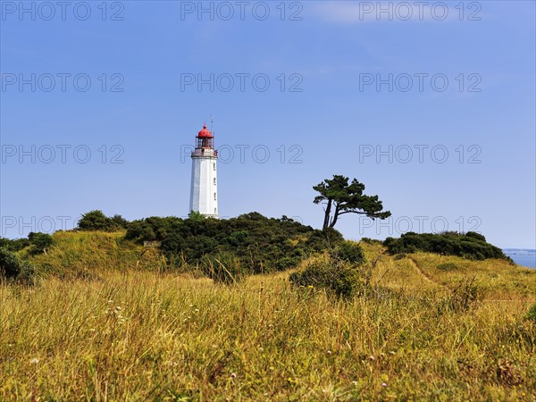 Lighthouse Dornbusch