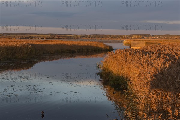 Kanzach in front of the mouth with boat shed