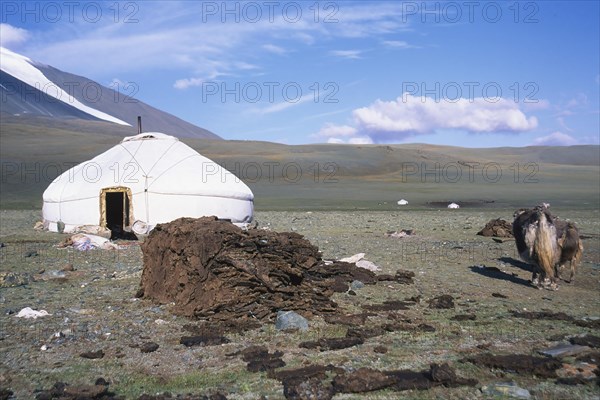 Pile of dung used for heating in front of a ger