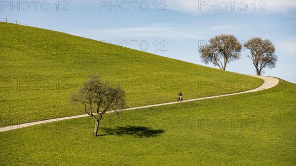 Cyclist riding on a narrow country road