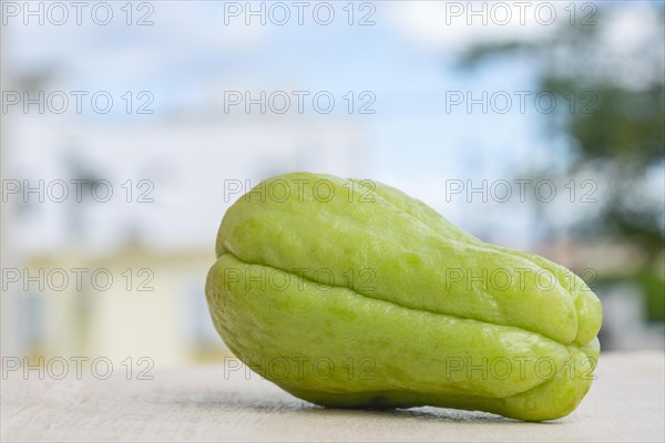 Fresh organic green chayote squash vegetable