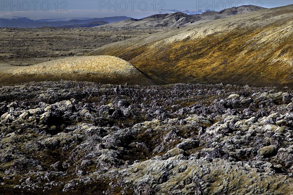 Mossy lava