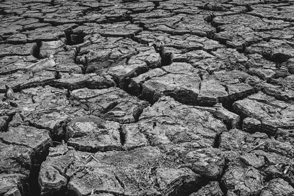 Cracked earth at the bottom of dried up lake