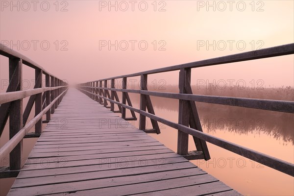 Wooden footbridge