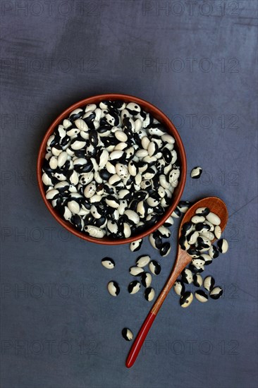 Dried beans in shell with spoon