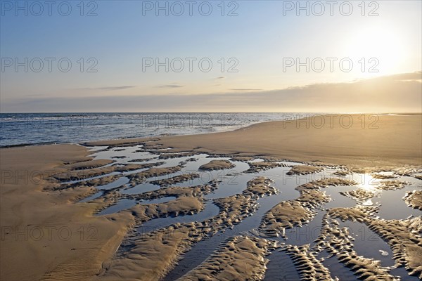 Sandy beach beach with ripple pattern