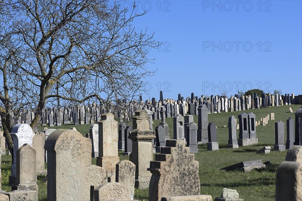 Gravestones at the Old Jewish Cemetery since 1432