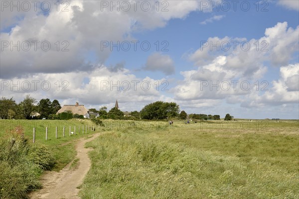 Footpath and salt marshes at the Wadden Sea