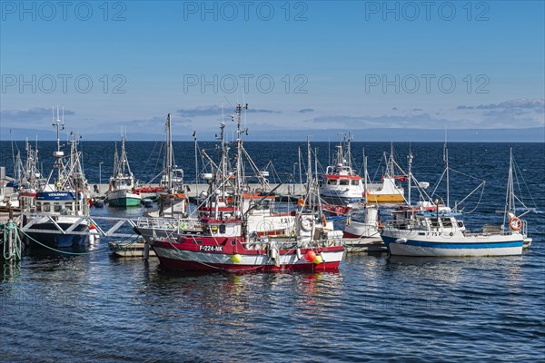 Little fishing boats