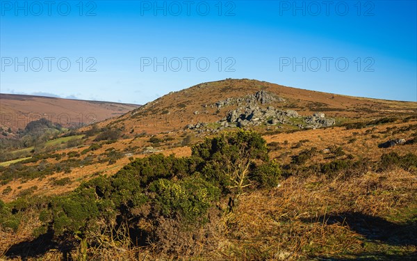 Fields and meadows in Haytor Rocks