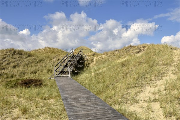 Boardwalks in the dune area