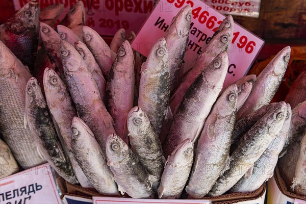 Deep frozen fish at the Fish and meat market