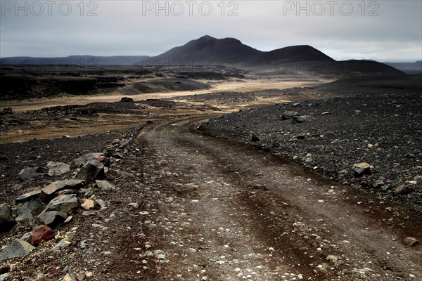 Tracks