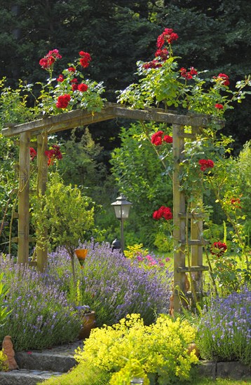 Rose arch