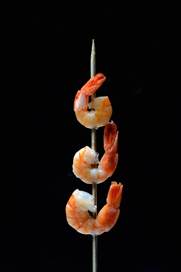 Cooked prawns on wooden skewer