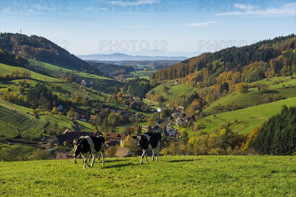 View from Huehnersedel into the Rhine valley