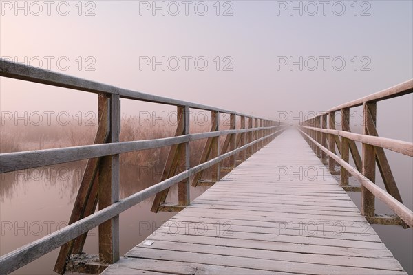 Wooden footbridge