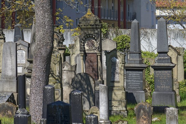 Gravestones at the Old Jewish Cemetery