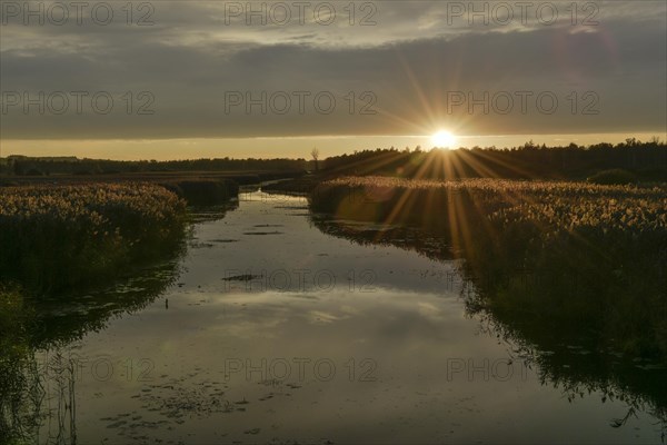 Kanzach in front of the mouth into the Federsee lake