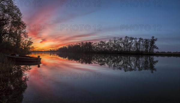 Nature reserve Taubergiessen at sunset