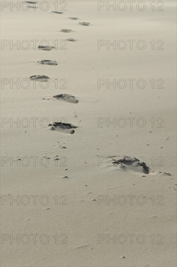 Footprints in the sand at Kniepsand