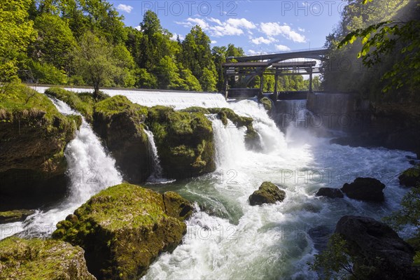 River Traun