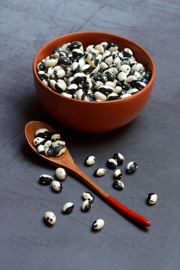 Dried beans in shell with spoon