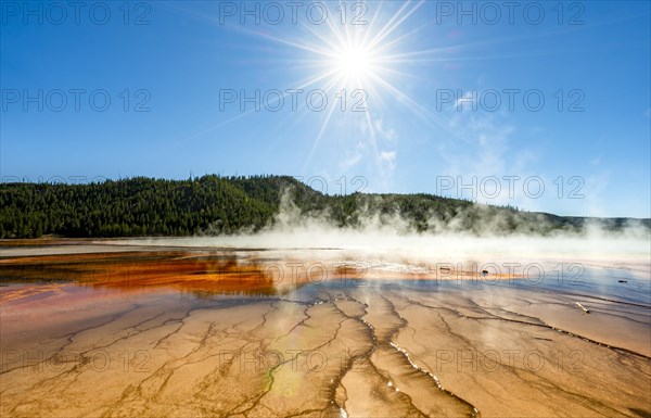 Steaming hot spring with sun star