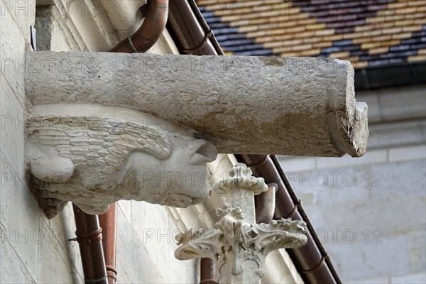 Gargoyle with chimera