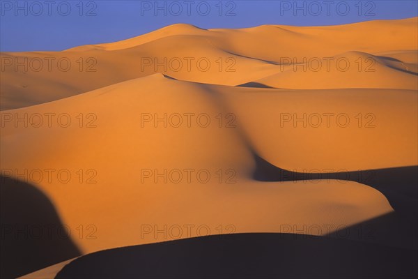 Sand waves in Khongoryn Els