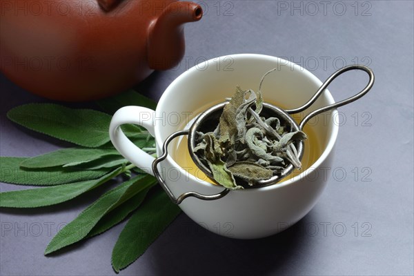 Sage tea in cup with tea strainer