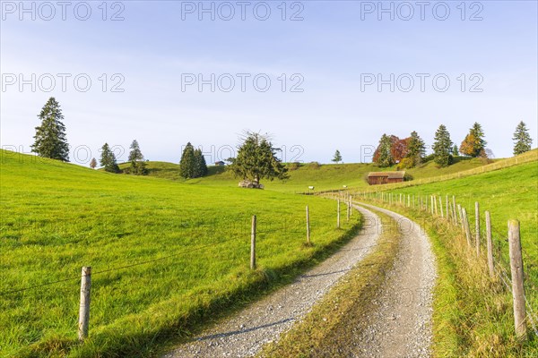 Landscape near Rieden am Forggensee