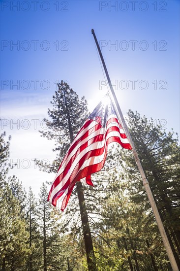 Dramatic half mast american flag among trees