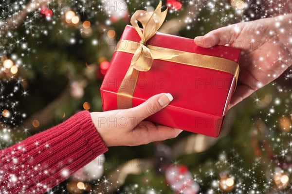 Man and woman gift exchange in front of decorated christmas tree with snow flakes border