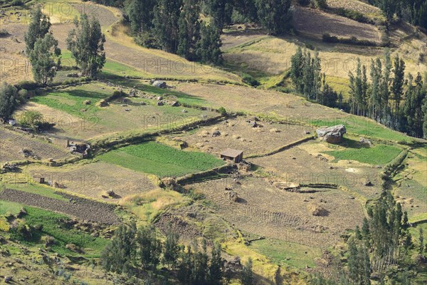 Harvested fields in Valle Sagrado