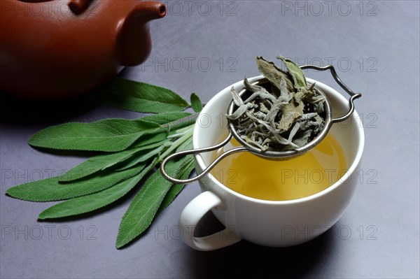 Sage tea in cup with tea strainer