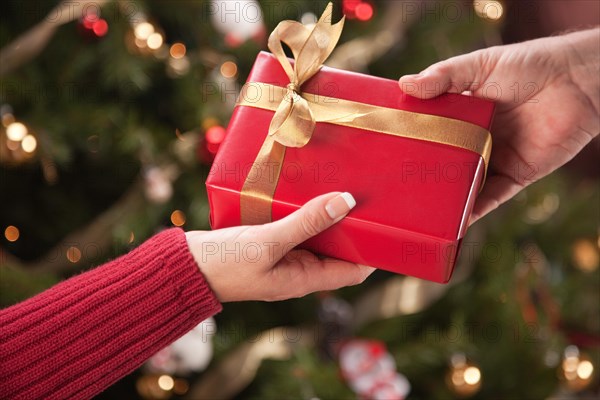 Man and woman gift exchange in front of decorated christmas tree