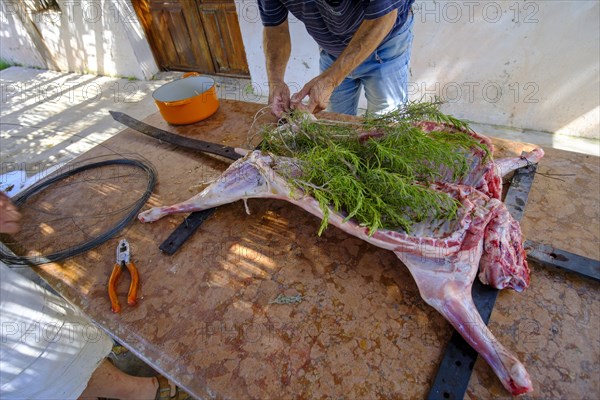 Whole lamb marinating in oil rub and rosemary for asado