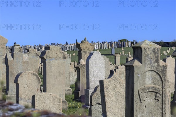 Gravestones at the Old Jewish Cemetery since 1432