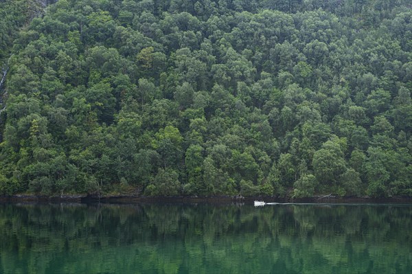 Little boat in Geirangerfjord