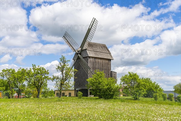 Historic trestle windmill in Vehlevanz