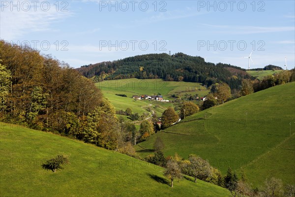 Huehnersedel