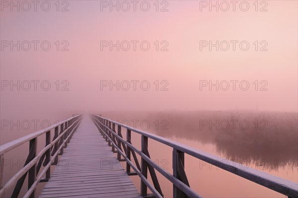 Wooden footbridge