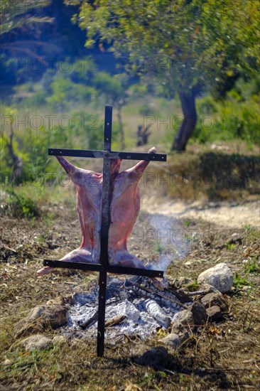 Whole lamb asado