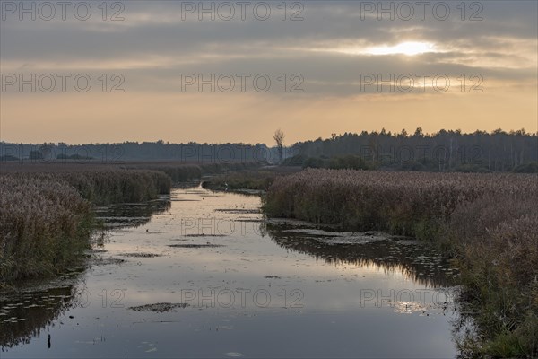 Kanzach in front of the mouth into the Federsee lake