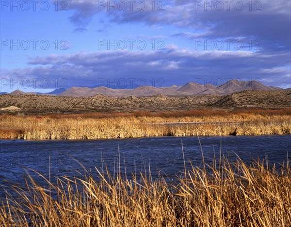 Bosque del Apache Nature Reserve