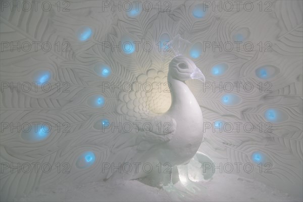 Peacock made of ice in the ice hotel of Jukkasjaervi